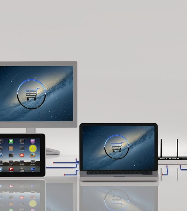 ecommerce-3562191_1280